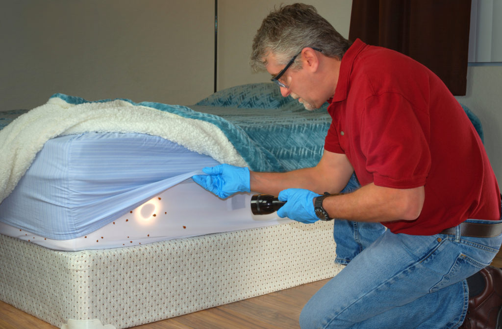Man with gloves and safety glasses inspecting mattress sheets for bed bugs using flashlight