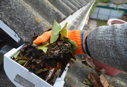 A person wearing gloves pulling debris from a clogged gutter.