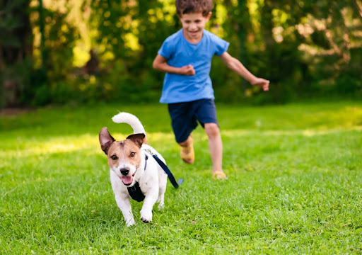 A boy playing with a dog in a green yard.