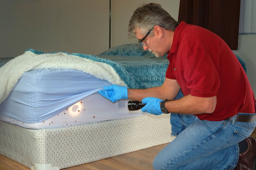 A man using a flashlight to look at bed bugs on a mattress.