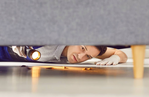 A man with a flashlight looking under a couch for cockroaches.